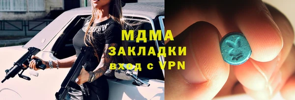 хмурый Пересвет