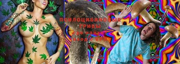 мдма Переславль-Залесский