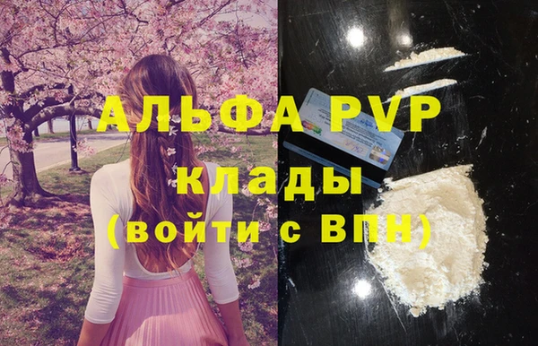 хмурый Пересвет