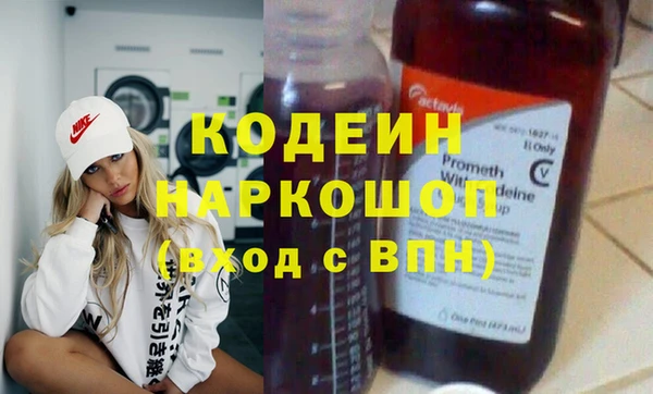 хмурый Пересвет